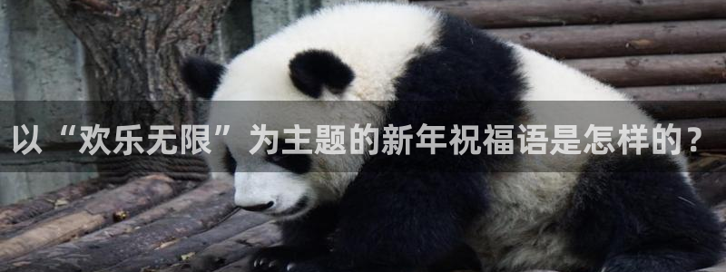 恒行5：以“欢乐无限”为主题的新年祝福语是怎样的？