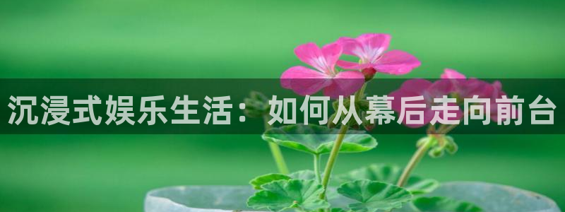恒行5：沉浸式娱乐生活：如何从幕后走向前台