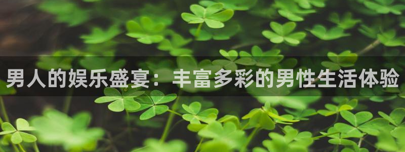 恒行5娱乐：男人的娱乐盛宴：丰富多彩的男性生活体验