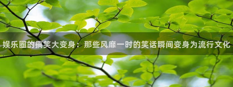 恒行5官网体验k88v典cc：娱乐圈的搞笑大变身：那些风靡一时的笑话瞬间变身为流行文化