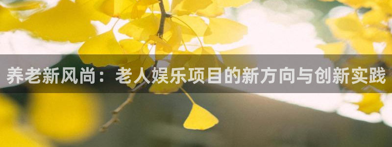 恒行5官网k88v店cc安全：养老新风尚：老人娱乐项目的新方向与创新实践