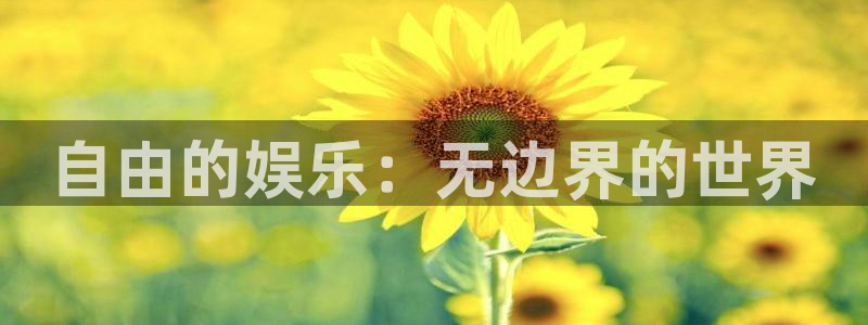恒行5娱乐：自由的娱乐：无边界的世界
